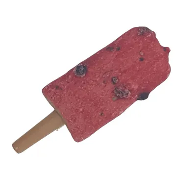 Trixie - Snack friandise Ice POP myrtilles   55 g  pour chien