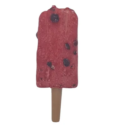 Trixie - Snack friandise Ice POP myrtilles   55 g  pour chien