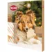 Trixie - Calendrier de l'avent TRIXIE pour petit chien