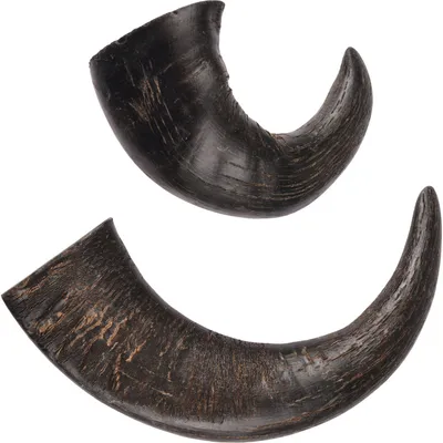 2 cornes de buffle séché médium Nature snack, pour chiens