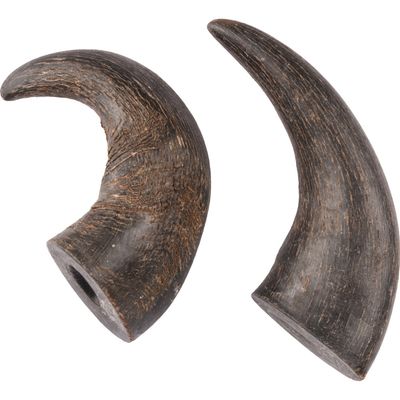 2 cornes de buffle séché small Nature snack, pour chiens