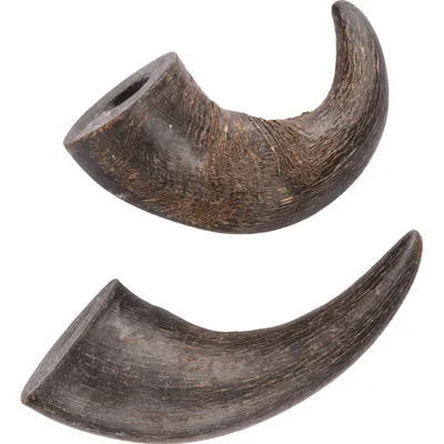 animallparadise - 2 cornes de buffle séché small Nature snack, pour chiens animallparadise - 2 cornes de buffle séché small Nature snack, pour chiens