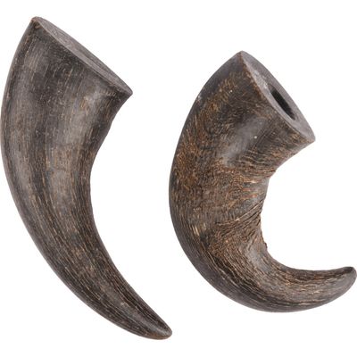 2 cornes de buffle séché small Nature snack, pour chiens