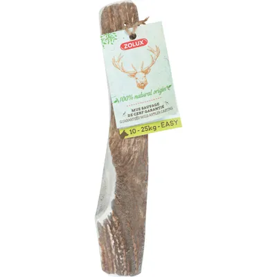 zolux - Bois de Cerf biseauté M Friandise à macher pour chien