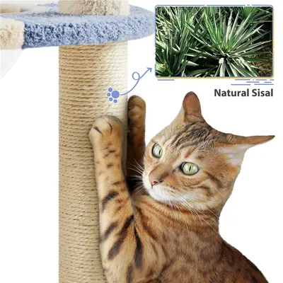 Yaheetech Arbre à Chat  Design  Océan