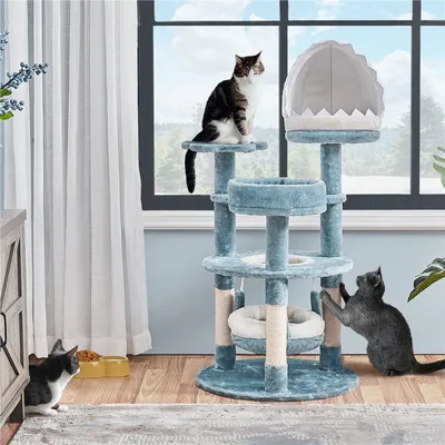 Petit Arbre à Chat Avec Niche Effet Requin, Hamac, Perchoir Et Poteau