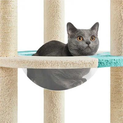 Yaheetech Arbre à Chat Griffoirs Océan Perchoir Poisson Panier