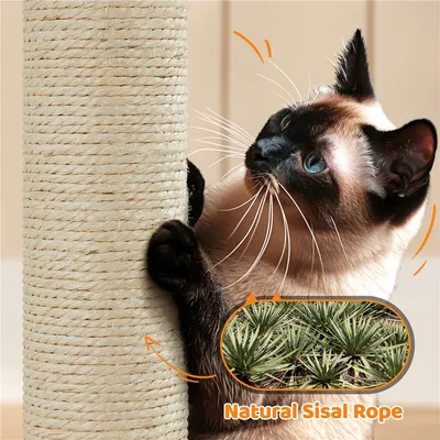 Yaheetech Arbre a Chat Géant 175 cm