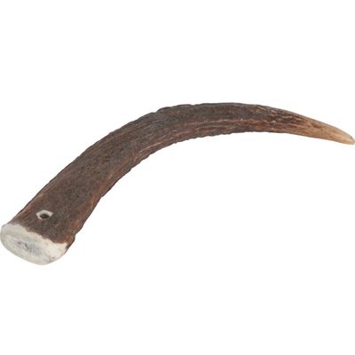 zolux - Bâton à mâcher Bois de Cerf Entier M Hard, environ 15 cm
