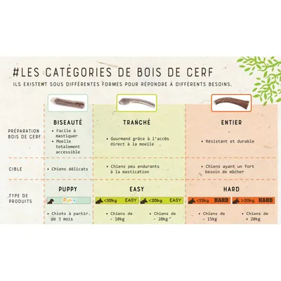 zolux - Bâton à mâcher Bois de Cerf Entier M Hard, environ 15 cm