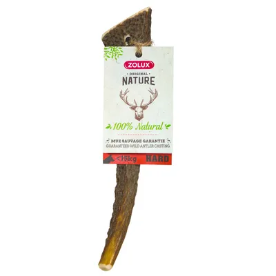 zolux - Bâton à mâcher Bois de Cerf Entier M Hard, environ 15 cm