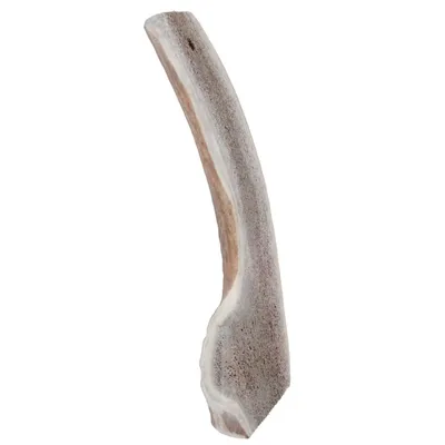 zolux - Bâton à mâcher Bois de Cerf Tranché Easy L, environ 18 cm