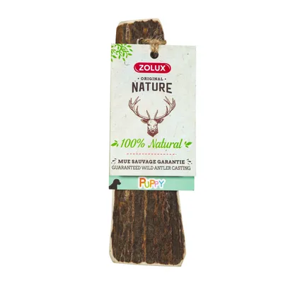 zolux - Bâton à mâcher en Bois de Cerf XS biseauté Puppy, environ 15 cm