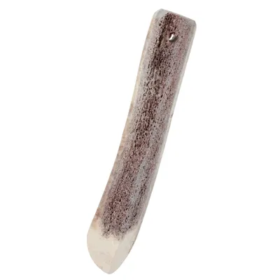 zolux - Bâton à mâcher en Bois de Cerf XS biseauté Puppy, environ 15 cm