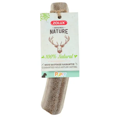 zolux - Bâton à mâcher en Bois de Cerf XS biseauté Puppy, environ 15 cm