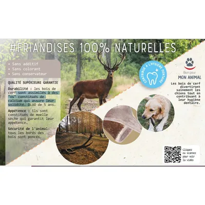 zolux - Bâton à mâcher Bois de Cerf Entier Hard XL, environ 18 cm