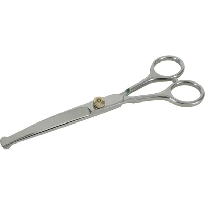 zolux - Ciseaux incurvés 16.5 cm en acier inoxydable pour chien