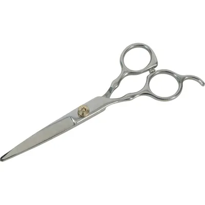 zolux - Ciseaux droit a bout rond 17 cm acier inoxydable pour chien