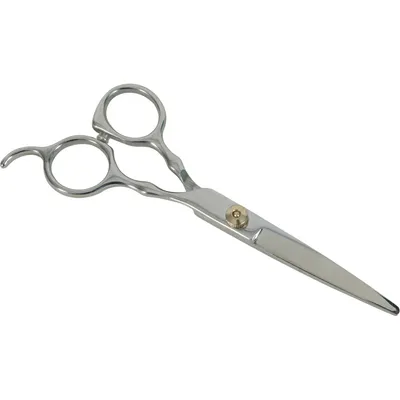 Ciseaux droit a bout rond 17 cm acier inoxydable pour chien