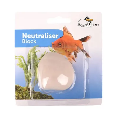 Coquille à oxygène  pour poisson d' Aquarium