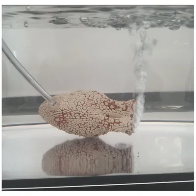 Bulleur en forme de cruche 10 cm pour aquarium
