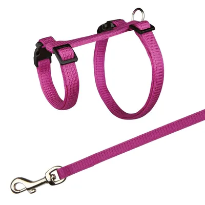 Harnais avec laisse pour lapins. couleur aléatoire.
