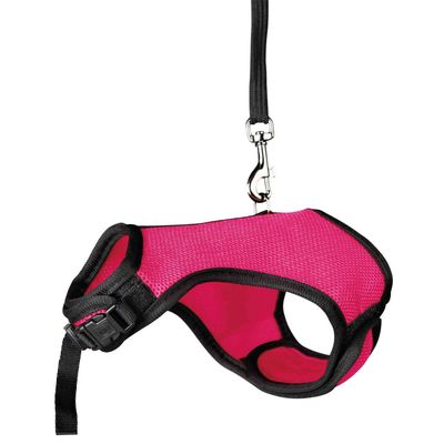 Harnais doux avec laisse 1,2 m pour lapins nains couleur aléatoire