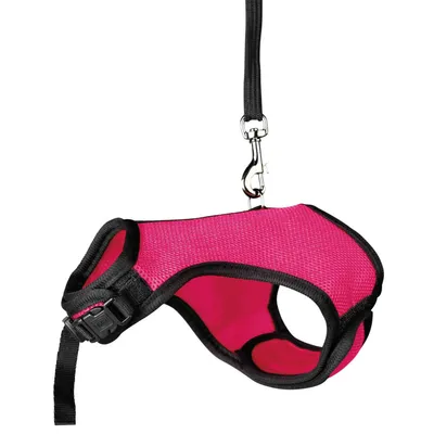 animallparadise - Harnais doux avec laisse 1,2 m pour lapins nains couleur