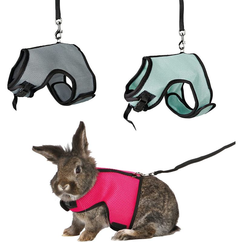 animallparadise - Harnais doux avec laisse 1,2 m pour lapins nains couleur