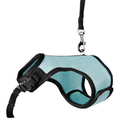 animallparadise - Harnais doux avec laisse 1,2 m pour lapins nains couleur