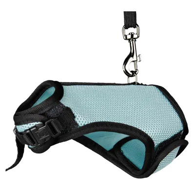 animallparadise - Harnais doux avec laisse 1.2 m couleur aléatoire pour coc