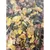 animallparadise - Alimentation hamster, nutrimeal, 10KG