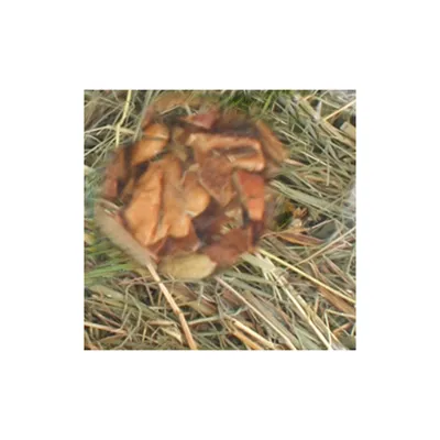 Flamingo - Foin de montagne aux Pommes 500 gr pour rongeurs