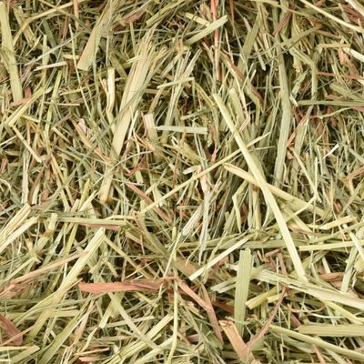 Flamingo - Foin de pré premium nature 1 kg soit 30 litres pour rongeur