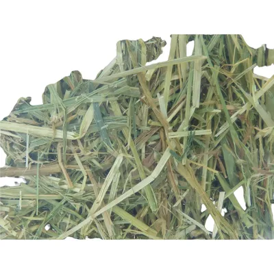 Foin alpage, carotte et pissenlit, 1 kg, pour rongeur.