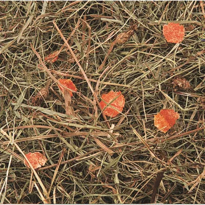 Flamingo - Foin de montagne aux carottes 500 g pour rongeurs