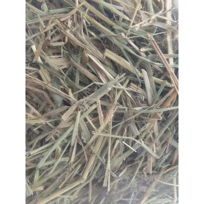 Foin alpage, pomme, betterave, 1 kg, pour rongeur.