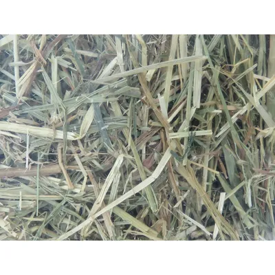 Foin alpage, menthe et camomille, 1 kg, pour rongeur