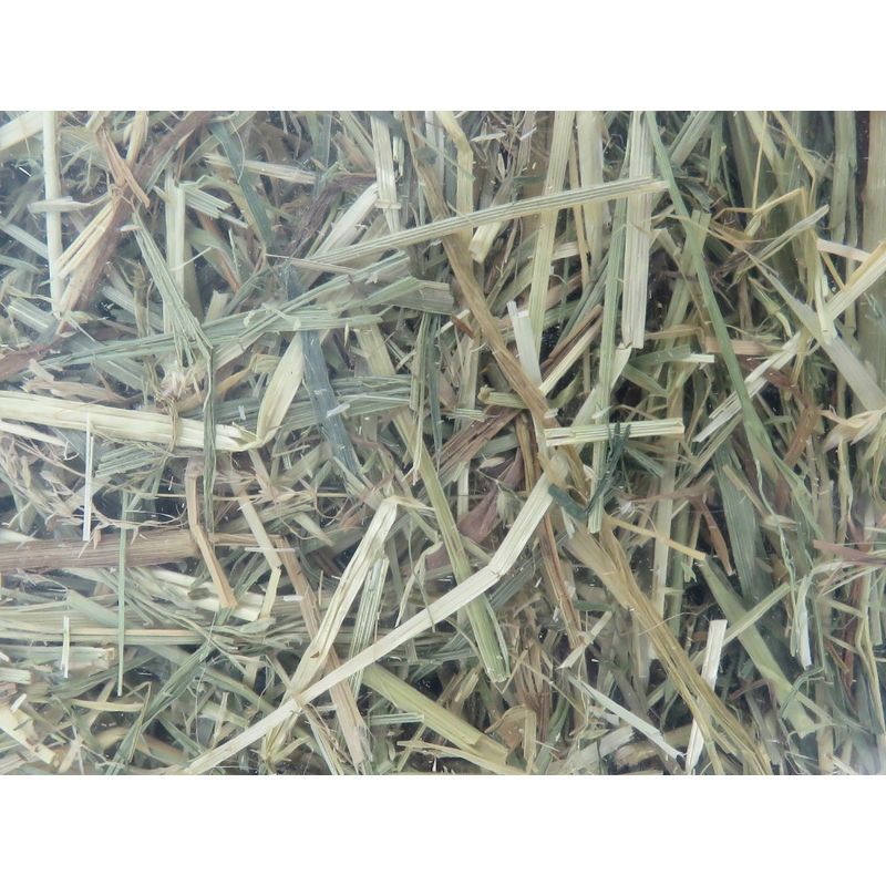 animallparadise - Foin alpage, menthe et camomille, 1 kg, pour rongeur