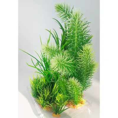 Déco plantkit idro N3 plantes artificielles 6 pieces H 28 cm décoration d'a Déco plantkit idro N3 plantes artificielles 6 pieces H 28 cm décoration d'a