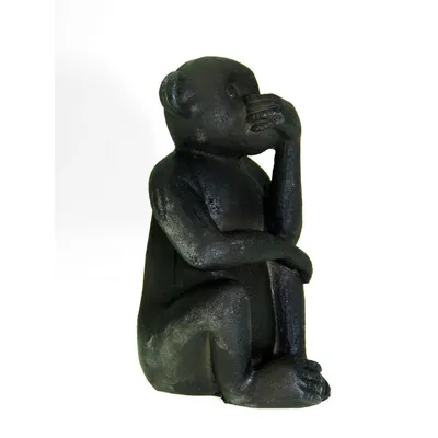 animallparadise - Décoration Singes vue, langage , ouïe. pour aquarium.