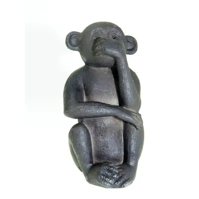 animallparadise - Décoration Singes vue, langage , ouïe. pour aquarium.