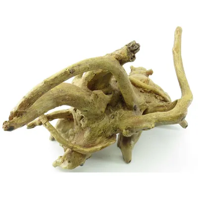 Hesta Racines. 25 x 17 x 16 cm. décoration aquarium.