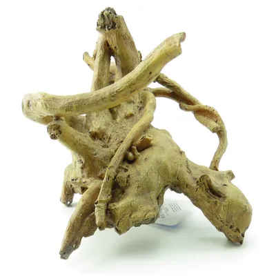 Hesta Racines. 25 x 17 x 16 cm. décoration aquarium.