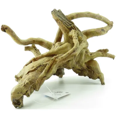 Hesta Racines. 25 x 17 x 16 cm. décoration aquarium.