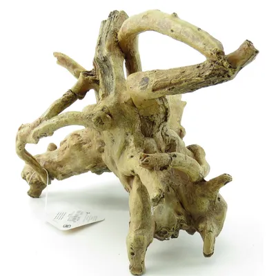 Hesta Racines. 25 x 17 x 16 cm. décoration aquarium.