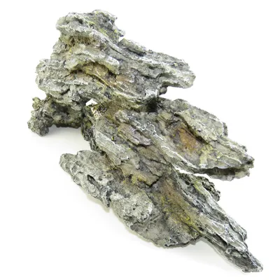 Bois fossilisé 34 x 10 x16 cm . décoration aquarium.