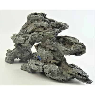Bois fossilisé 34 x 10 x16 cm . décoration aquarium.