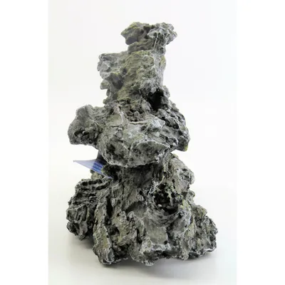 Bois fossilisé 34 x 10 x16 cm . décoration aquarium.
