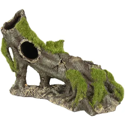 Décoration aquarium. Kozma souche. taille  23 x 11 x 16 cm.